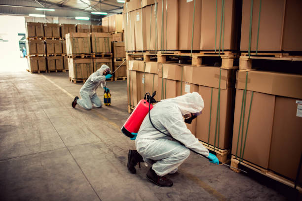 Best Exterminator Services  in The Hills, TX