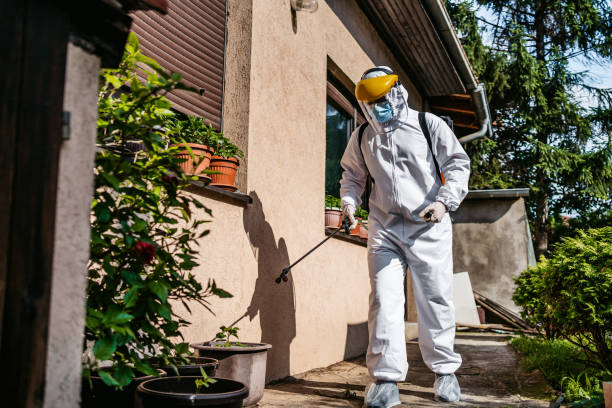 Best Best Pest Control Companies  in The Hills, TX