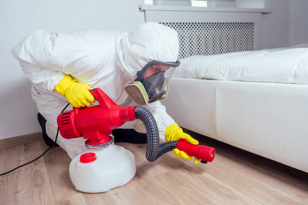 Flea Control Services in The Hills, TX
