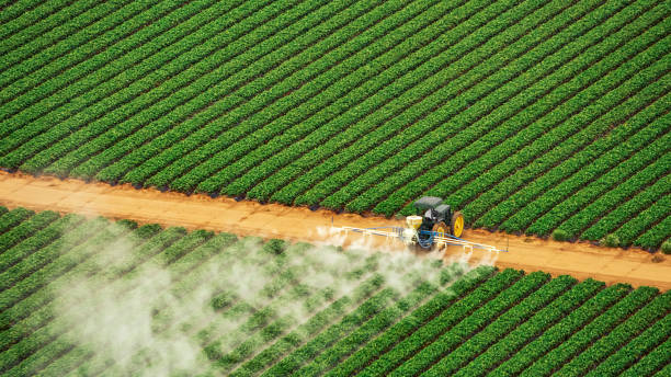 Professional Pest Control in The Hills, TX